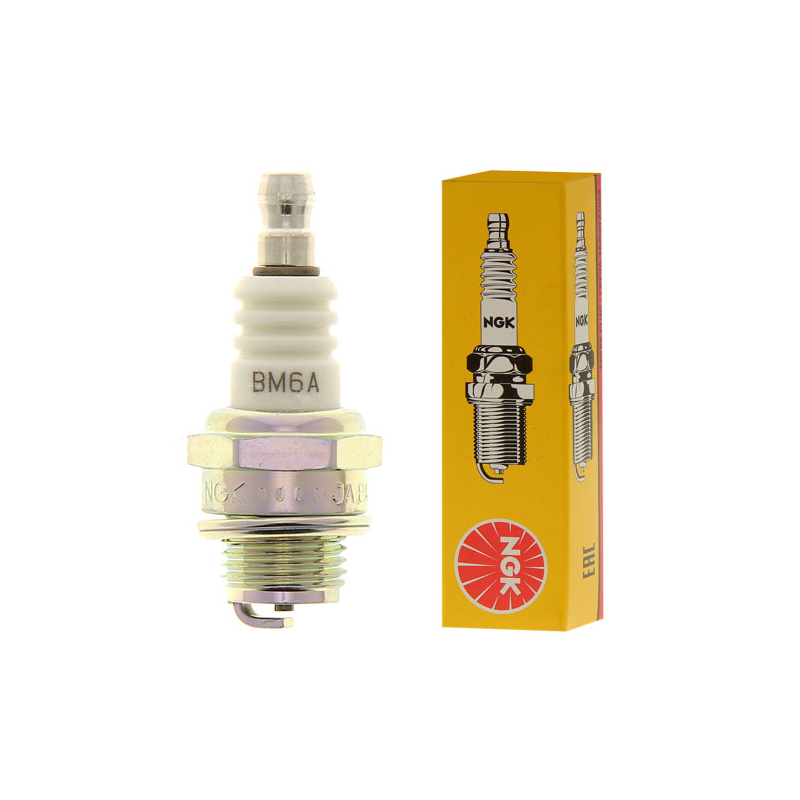 BOUGIE /10 NGK - ref. BM6A | TP Agri