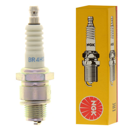 BOUGIE /10 NGK - ref. BR4HS | TP Agri
