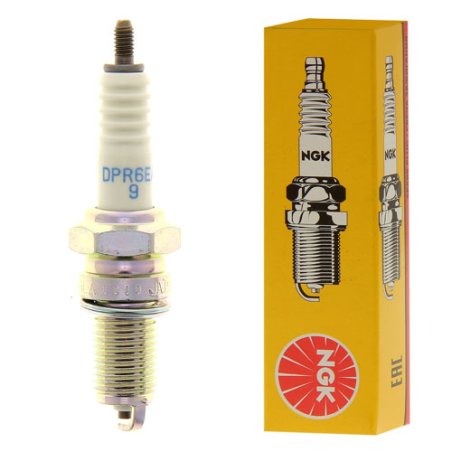 BOUGIE /10 NGK - ref. DPR6EA9 | TP Agri