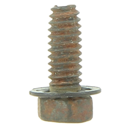 SCREW - ref. 691660 | TP Agri