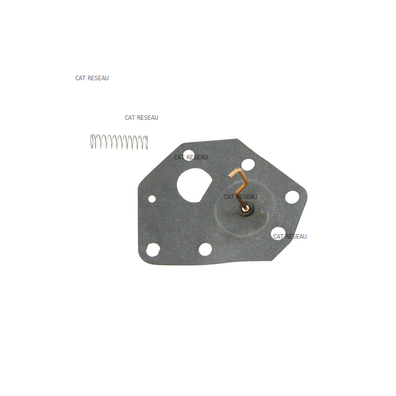 MEMBRANE CARBU (10) - ref. 299637 | TP Agri