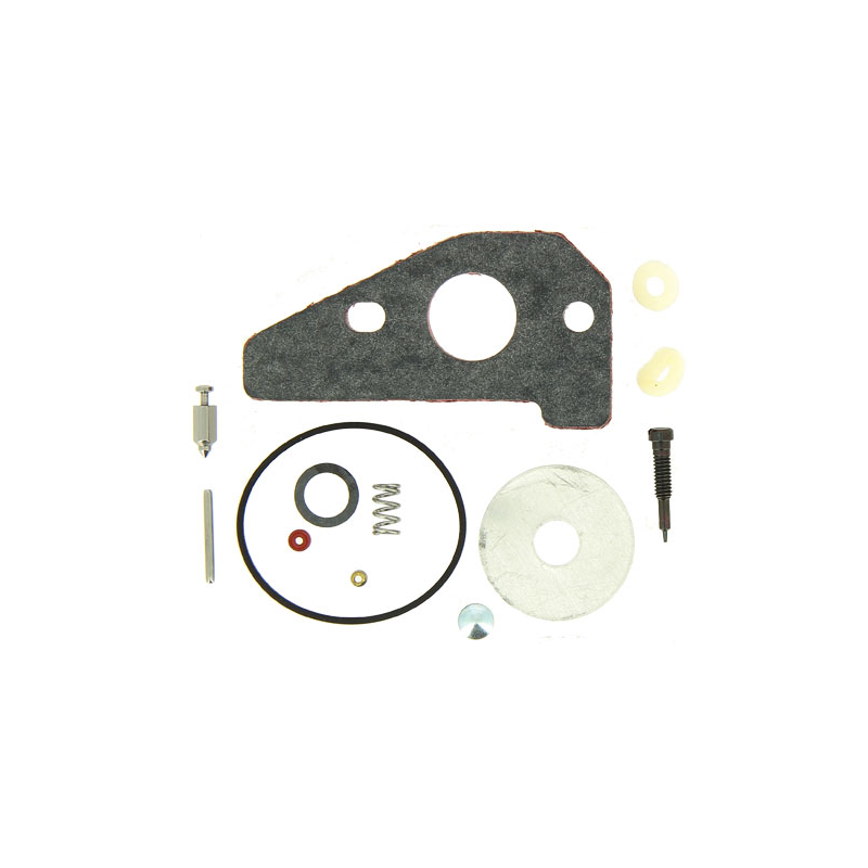 KIT CARBURATEUR - ref. 493917 | TP Agri