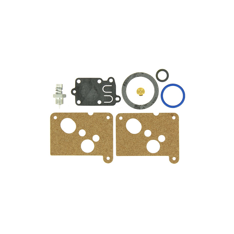 KIT CARBURATEUR - ref. 494625 | TP Agri