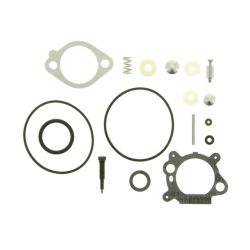 KIT CARBURATEUR - ref. 498260 | TP Agri
