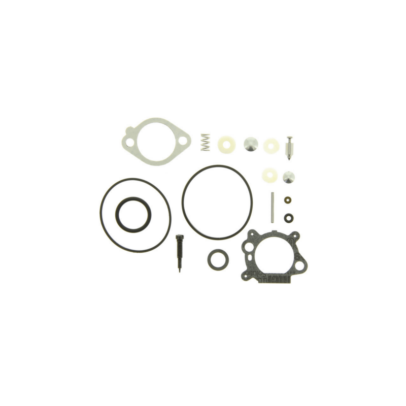 KIT CARBURATEUR - ref. 498260 | TP Agri