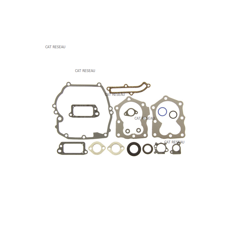 GASKET SET-ENGINE - ref. 590508 | TP Agri
