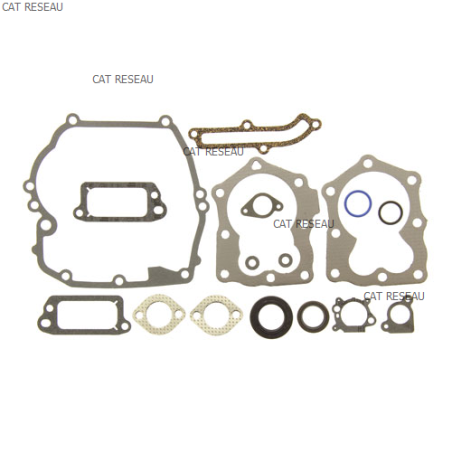 GASKET SET-ENGINE - ref. 590508 | TP Agri