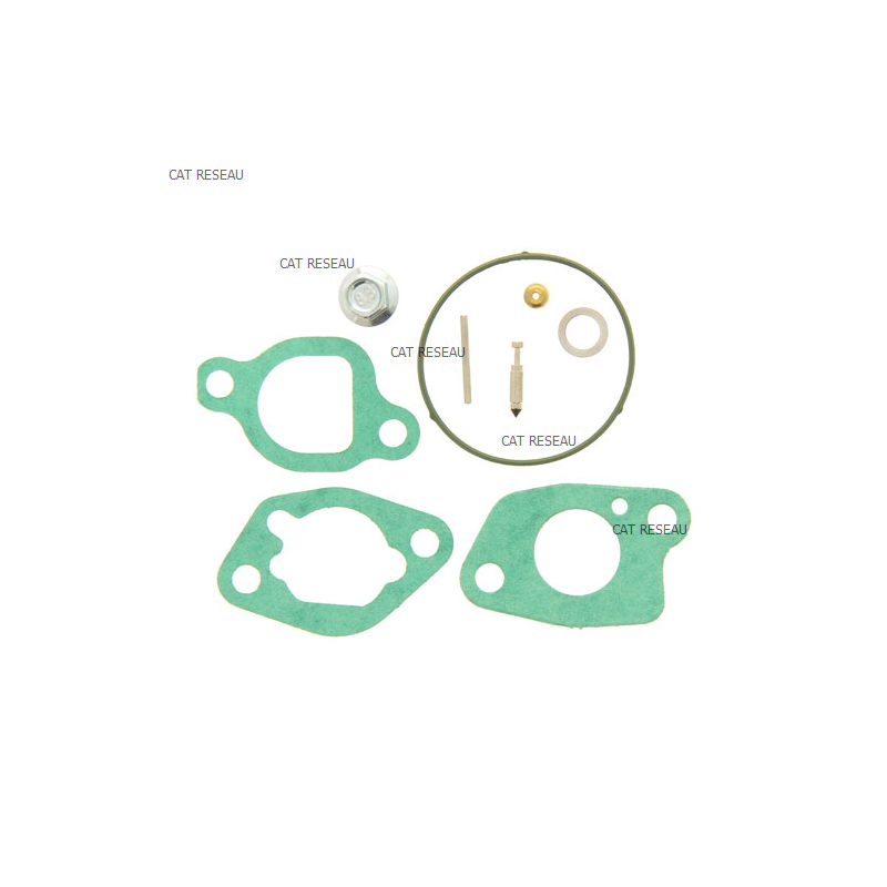 KIT CARBURATEUR - ref. 592424 | TP Agri