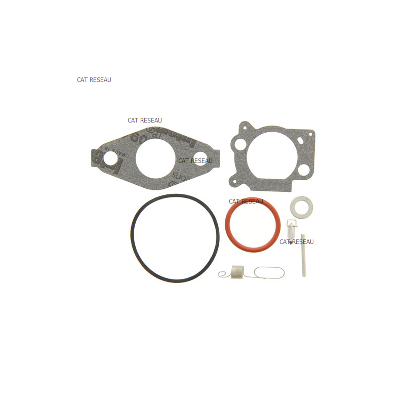 KIT-CARBURATEUR - ref. 592483 | TP Agri