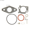 KIT-CARBURATEUR - ref. 592483 | TP Agri