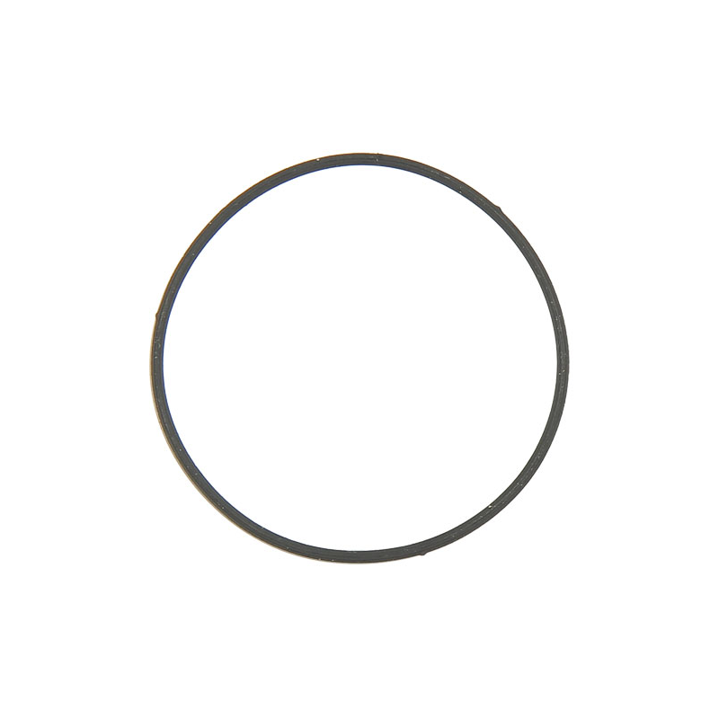 GASKET-FLOAT BOWL - ref. 594861 | TP Agri
