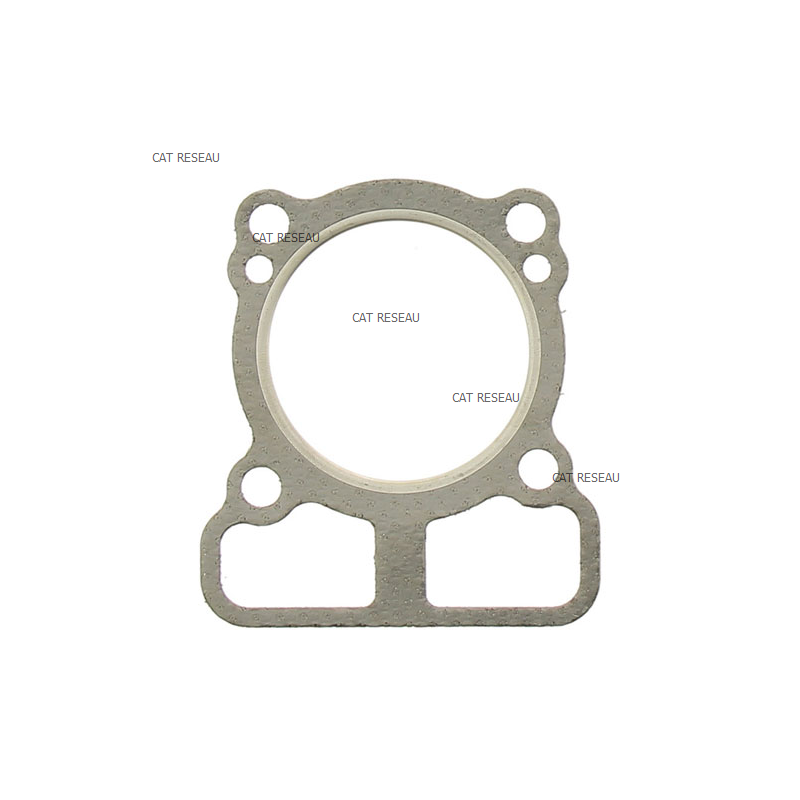 GASKET-CYLINDER HEAD - ref. 793455 | TP Agri