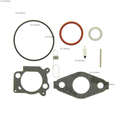 KIT CARBURATEUR - ref. 793622 | TP Agri
