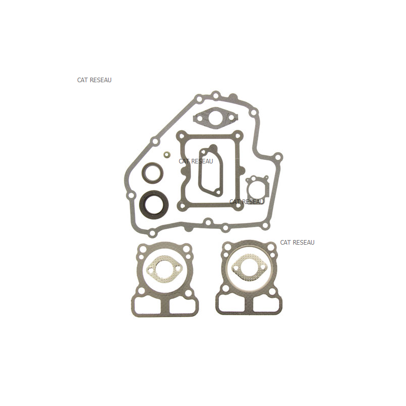 GASKET SET-ENGINE - ref. 793623 | TP Agri