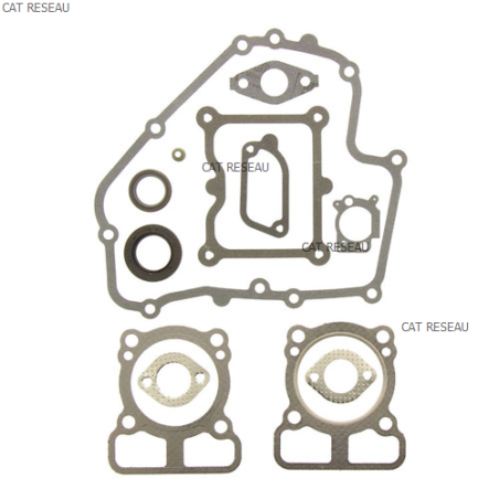 GASKET SET-ENGINE - ref. 793623 | TP Agri
