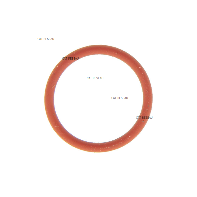 SEAL-O RING - ref. 793628 | TP Agri