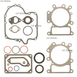 JEU DE JOINTS MOTEUR - ref. 796187 | TP Agri