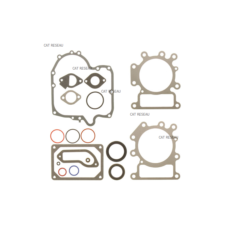 JEU DE JOINTS MOTEUR - ref. 796187 | TP Agri