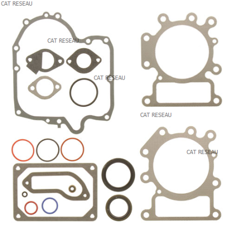 JEU DE JOINTS MOTEUR - ref. 796187 | TP Agri