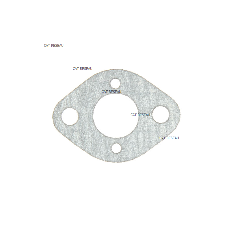 INTAKE CARB. GASKET - ref. 3724020 | TP Agri