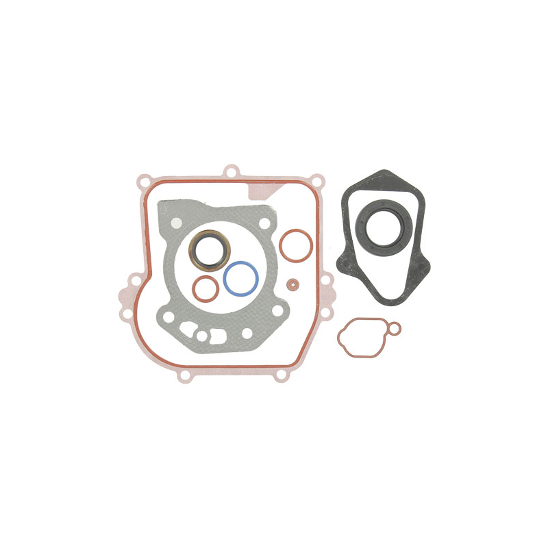 GASKET SET ENGINE - ref. 84006587 | TP Agri