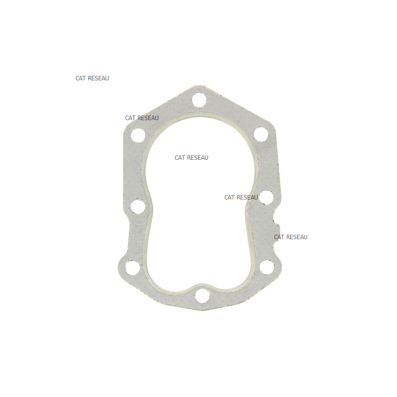 JOINT DE CULASSE FG150G AT - ref. 110042137 | TP Agri