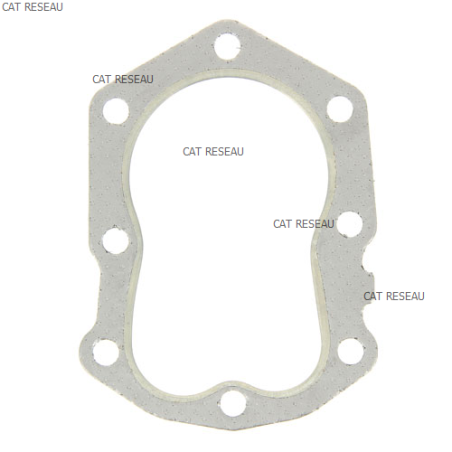 JOINT DE CULASSE FG150G AT - ref. 110042137 | TP Agri