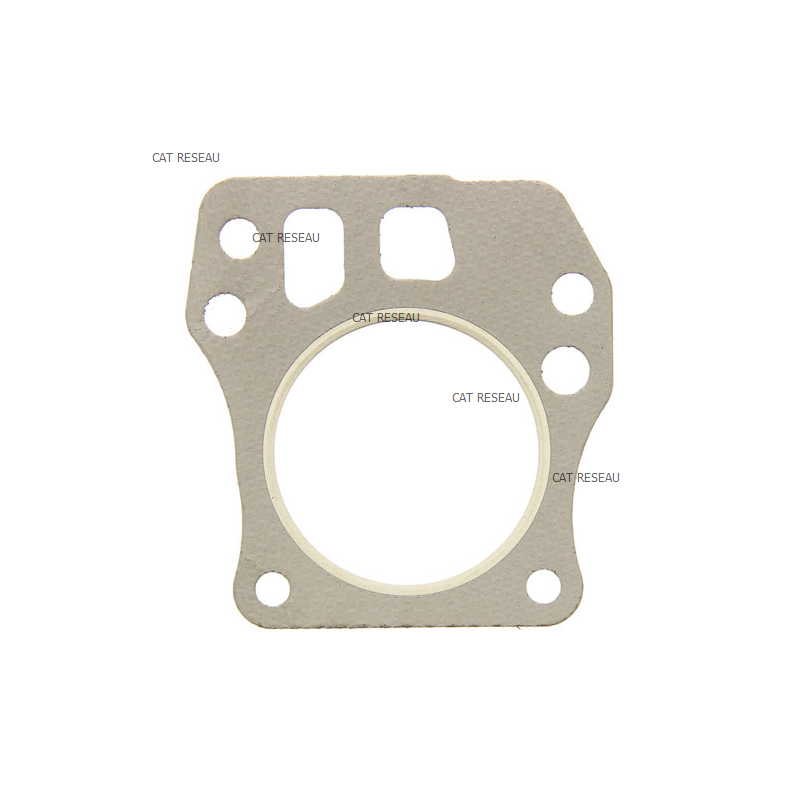 JOINT DE CULASSE FJ 180 V - ref. 110042146 | TP Agri