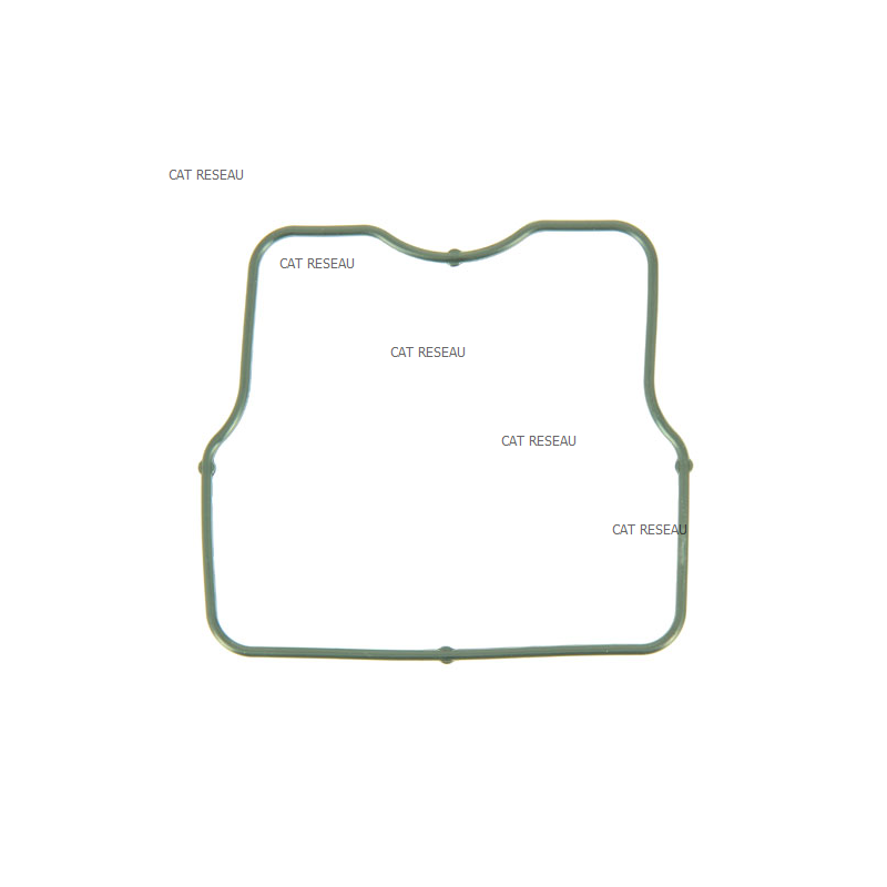 GASKET - ref. 110602065 | TP Agri