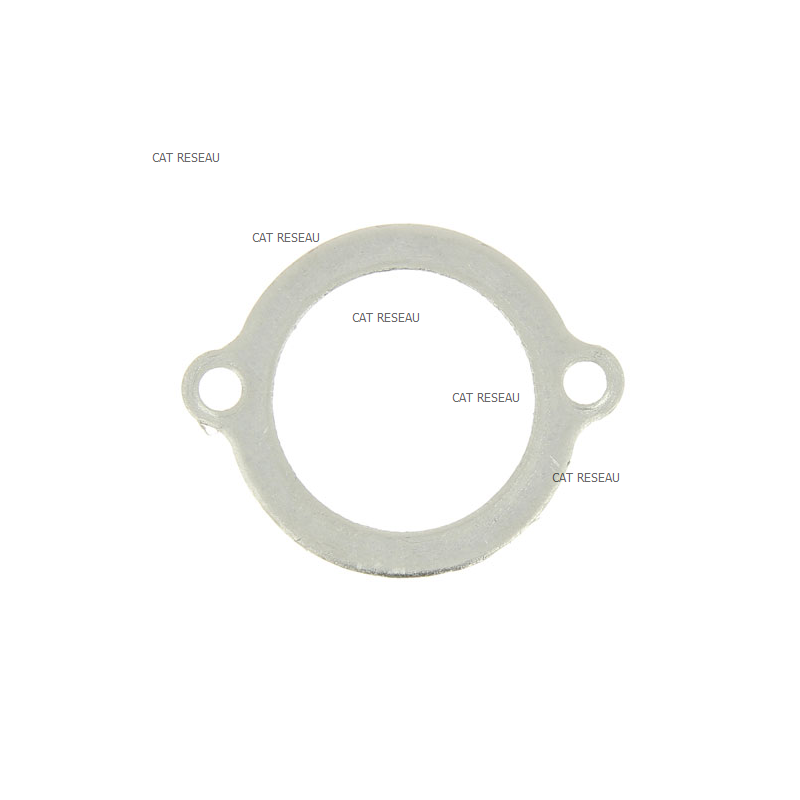 JOINT THERMOSTAT FD 620 - ref. 110602084 | TP Agri