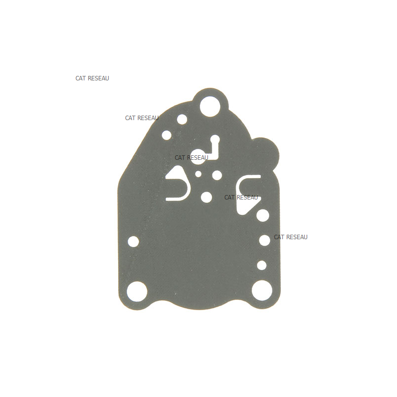 MEMBRANE RPL 3144016160A - ref. 430282057 | TP Agri