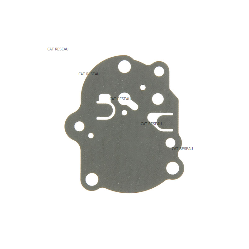 MEMBRANE - ref. 430282058 | TP Agri