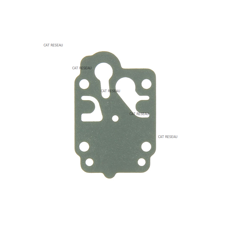 MEMBRANE DE POMPE - ref. 430282067 | TP Agri