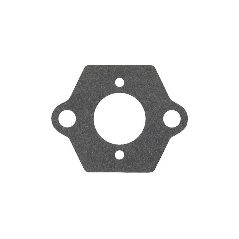 GASKET-CARB - ref. 530019271 | TP Agri