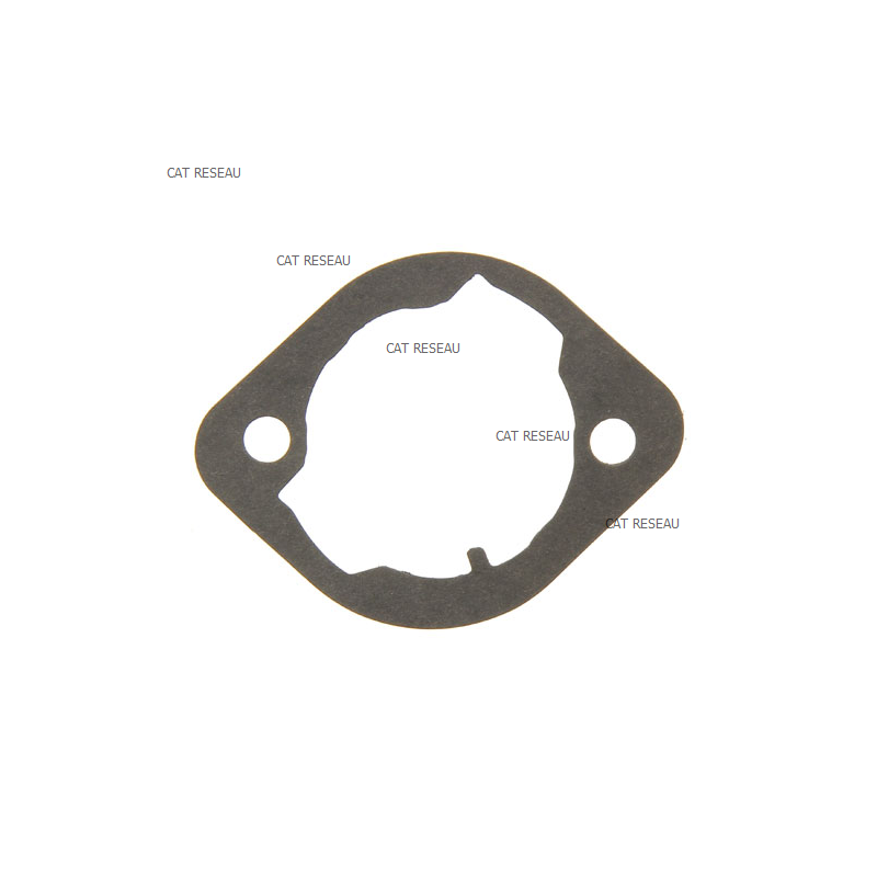 GASKET CYLINDER, - ref. 530049467 | TP Agri