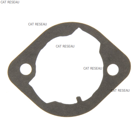 GASKET CYLINDER, - ref. 530049467 | TP Agri