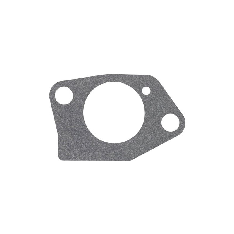 CARBURETTOR GASKET KIT - ref. 599349056 | TP Agri
