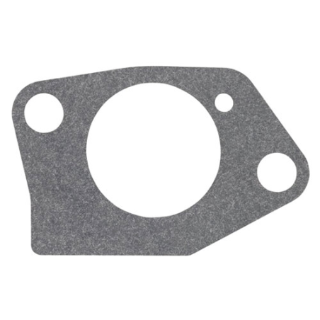 CARBURETTOR GASKET KIT - ref. 599349056 | TP Agri