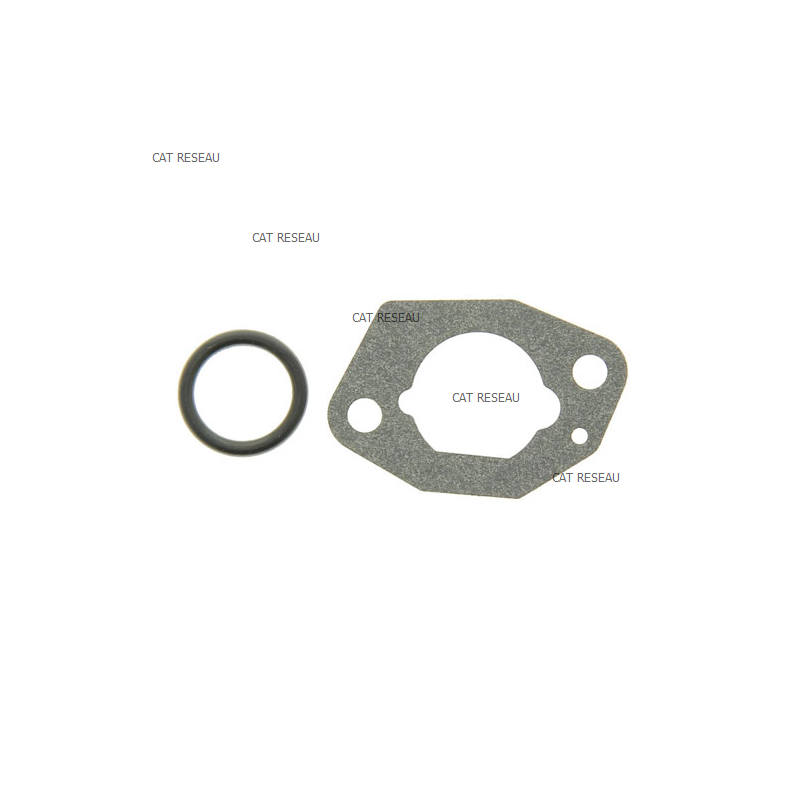 KIT JOINTS CARBU SV150 PLUS LIVRABLE - ref. 1185500190 | TP Agri