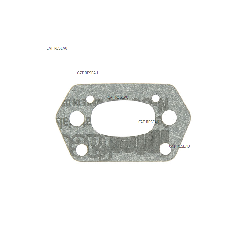 INTAKE MANIFOLD GASKET - ref. 1185505850 | TP Agri