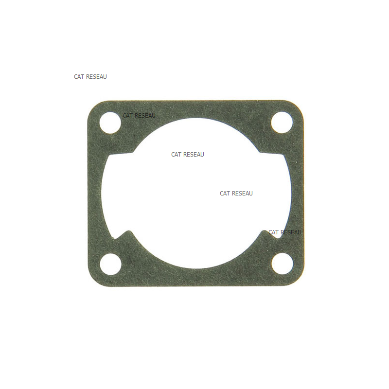 CYLINDER GASKET - ref. 1188020910 | TP Agri