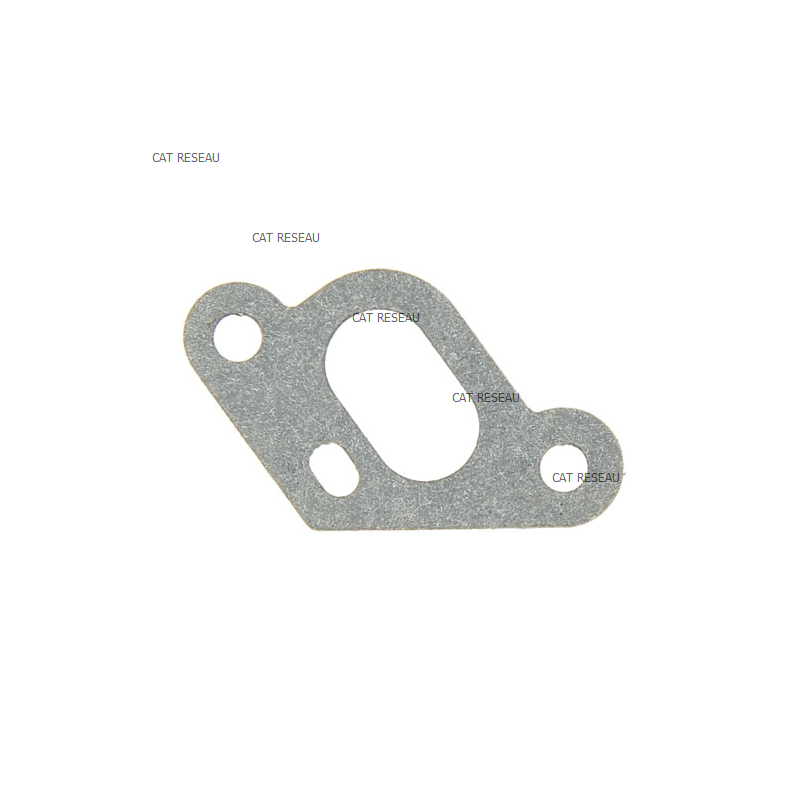 INTAKE MANIFOLD GASKET - ref. 1188036340 | TP Agri