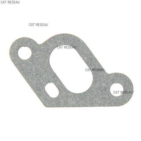 INTAKE MANIFOLD GASKET - ref. 1188036340 | TP Agri