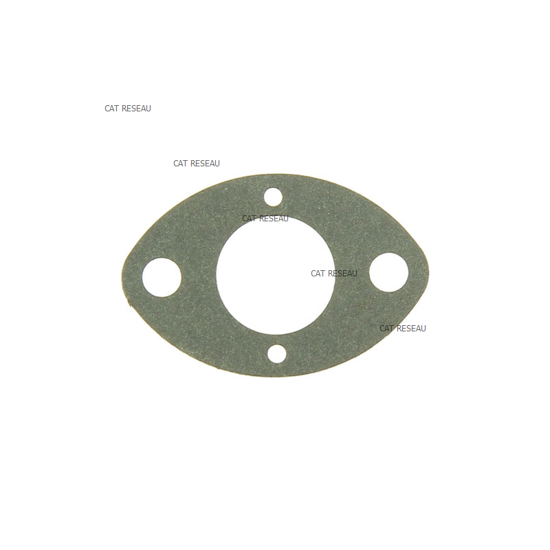 GASKET CARBURETTOR-INTAKE MANIFOLD - ref. 1188036490 | TP Agri