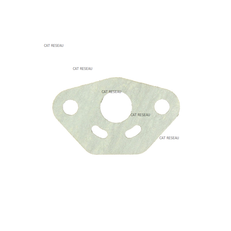 CARBURETOR GASKET - ref. 1232800390 | TP Agri