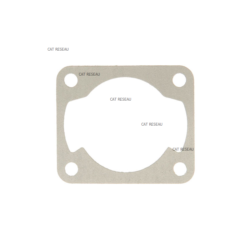 CYLINDER GASKET - ref. 1232800440 | TP Agri