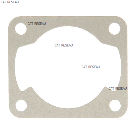 CYLINDER GASKET - ref. 1232800440 | TP Agri