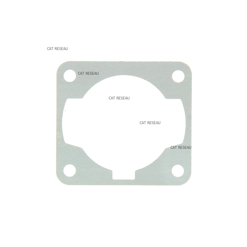 CYLINDER GASKET - ref. 1232800450 | TP Agri