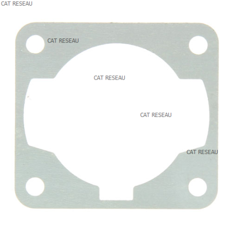 CYLINDER GASKET - ref. 1232800450 | TP Agri