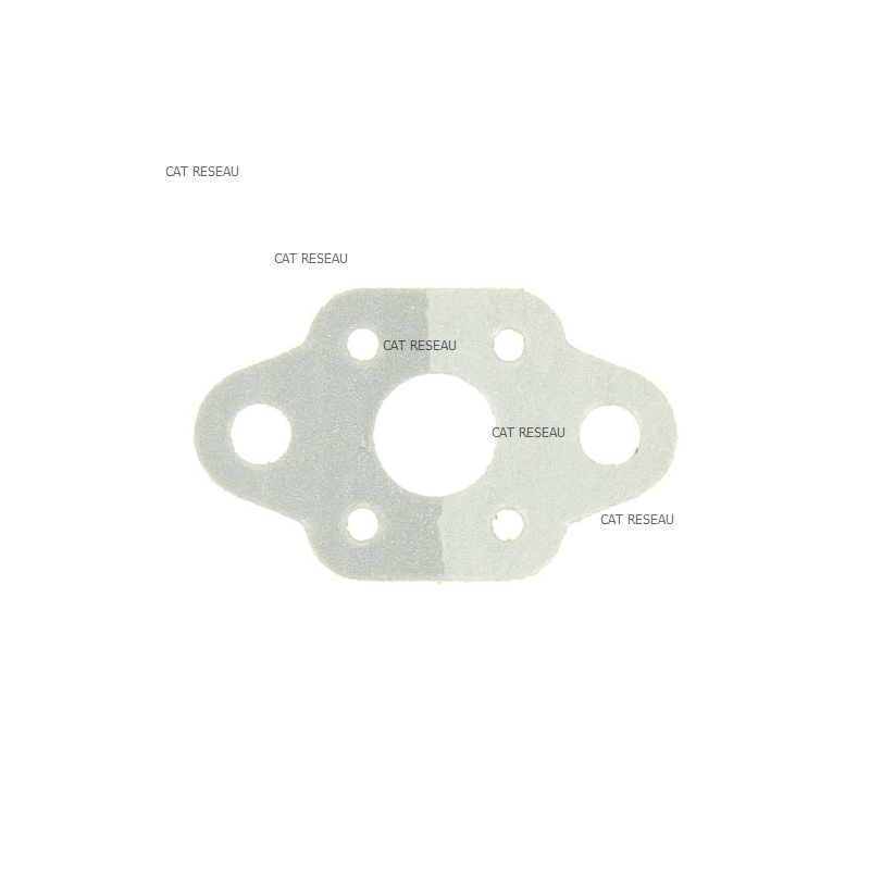 INTAKE CARBURETTOR GASKET - ref. 1232800590 | TP Agri